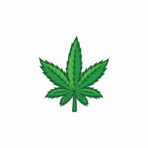 4S CANNA CO. - STIGLER