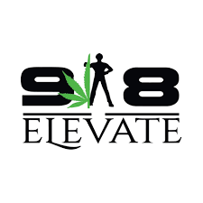 918 ELEVATE LLC - DISNEY