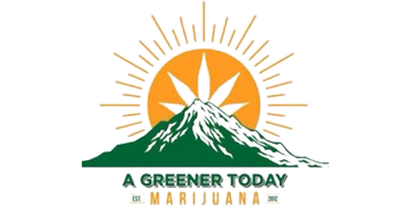 A Greener Today Bothell