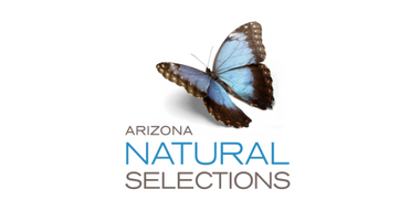Arizona Natural Selections of Scottsdale