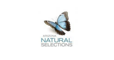 Arizona Natural Selections of Mesa