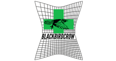 BLACKBIRD CROW
