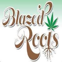 BLAZED ROOTS LLC - POCOLA