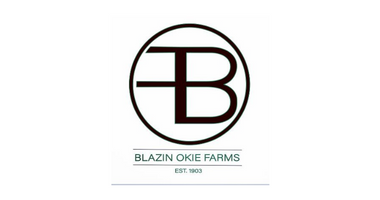BLAZIN OKIE'S, LLC - OKARCHE