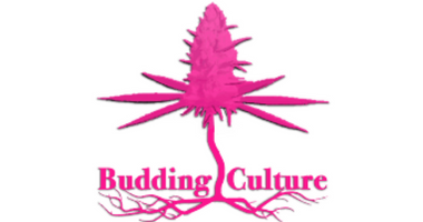 BUDDING CULTURE