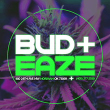 BUDEAZE MARY MEDS - NORMAN