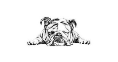 BULLY DREAMZ LLC - CORDELL