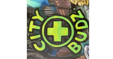 CITY BUDZ DISPENSARY LLC