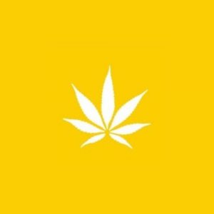 Coastal Dispensary - West LA