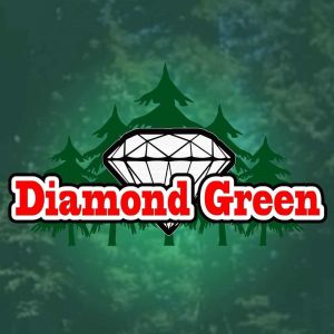 Diamond Green Tacoma