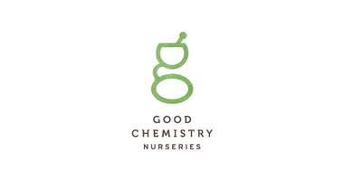 GOOD CHEMISTRY