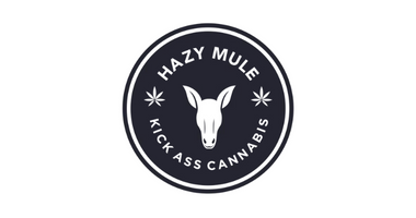 HAZY MULE - TUTTLE