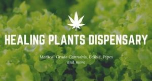 HEALING PLANTS - LEBANON