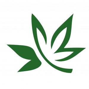 HI-ROOTS -NORMAN