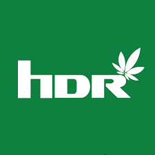 High Desert Relief - Albuquerque