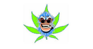 HIGHBLOOM ARTISAN CANNABIS - EDMOND