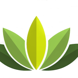 KEYSTONE ALTERNATIVE MEDICINE, LLP - MANNFORD