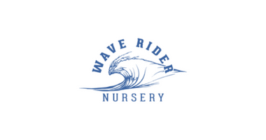 MOUNTAIN ANNIES LLC