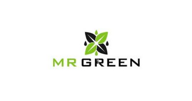 MR. GREEN THE VILLAGE