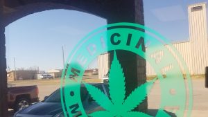 NATIVE BUDZ DISPENSARY LLC - ELGIN