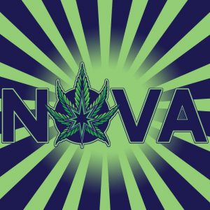 NOVA CANNABIS OF MARIETTA - MARIETTA