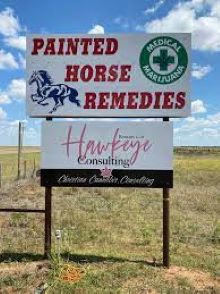 PAINTED HORSE REMEDIES L.L.C. - HAMMON