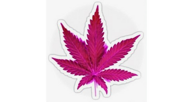 PINK LEAF DISPENSARY LLC - DEL CITY