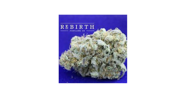REBIRTH PORTLAND