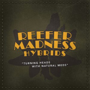 REEFER MADNESS HYBRIDS - SALLISAW