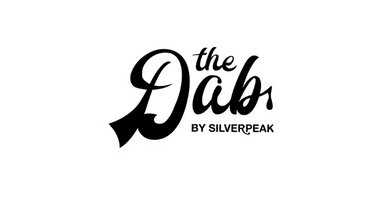 SILVERPEAK CORP