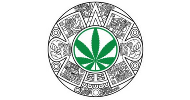SOUTHERN COLORADO CANNABIS CLUB LLC