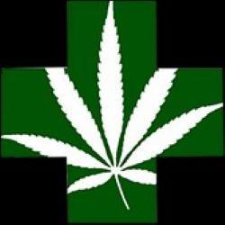 STASH CANNABIS COMPANY - EDMOND