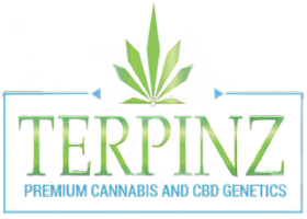 TERPINZ - MIDWEST CITY