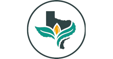 Texas Original San Antonio