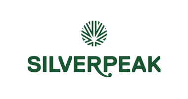 THE DAB BY SILVERPEAK - DOWNTOWN