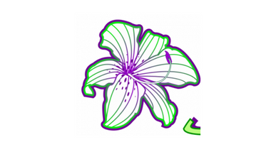 THE GREEN LILY LLC - YUKON