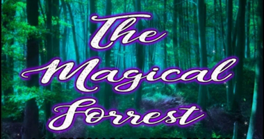 THE MAGICAL FORREST MARIJUANA DISPENSARY LLC - OKLAHOMA CITY