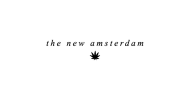 THE NEW AMSTERDAM