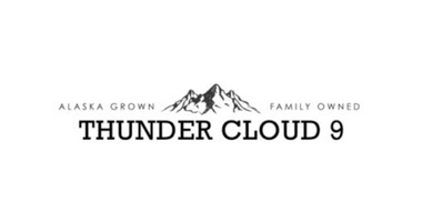 Thunder Cloud 9