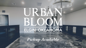 URBAN BLOOM - ELGIN