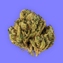 WAYNE'S WORLD DISPENSARY - CAMERON
