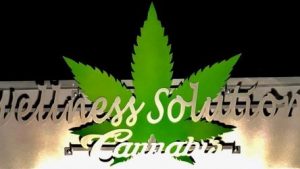WELLNESS SOLUTION CENTER, LLC - HENNEPIN