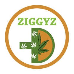 ZIGGYZ PLUS - EDMOND